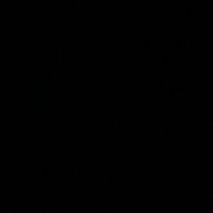 Meet your Posher, Riley